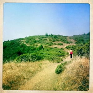 On the trail before our descent into Steep Ravine.