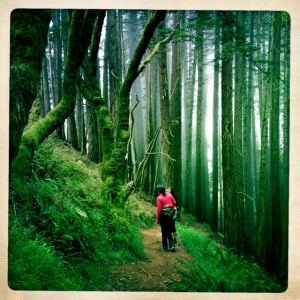 Steep Ravine before it gets treacherous.