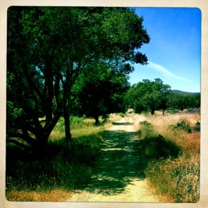 Trail from Sky Oaks - no trail name posted.