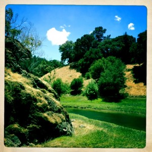 Below Bon Tempe Dam