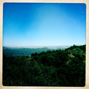 View from Eldridge Grade all the way to the East Bay. We did some climbing!