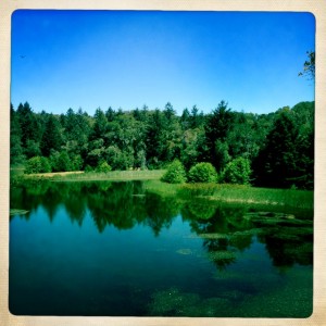 Lake Lagunitas and very blue skies