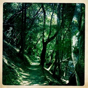 Trail along the shady side of Bon Tempe