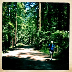 Tony trying out his new poles on the shady part of Shaver Grade.