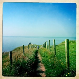 Some trails along coast had a fence