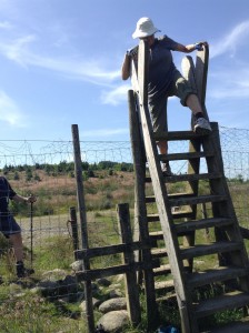 Gracefully climbing over Nannycatch Gate