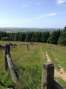 Part of route up to Dent Hill