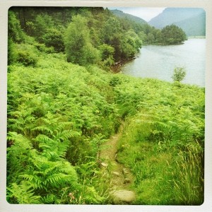 Lovely part of trail north of Ennerdale Lake