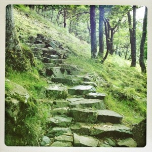 The path up where it looked like steps to the sky.