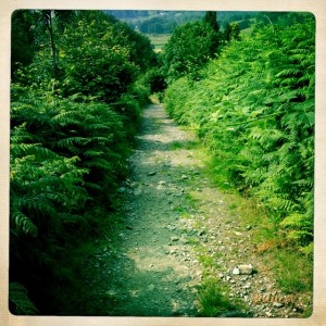 Foot path to Tongue Gill