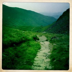 Some parts had stone sort of steps. It was steeper than it looks.