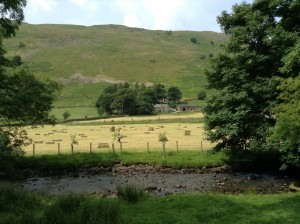 Hay bales on farm