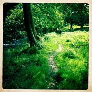 The foot trail off the road from Bampton Grange