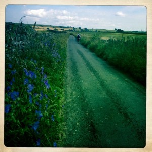 Road from Shap Abbey