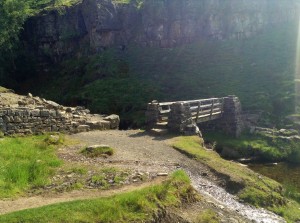 bridge by the falls