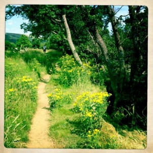 Footpath to Reeth