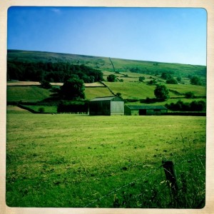 View of fields leaving Reeth