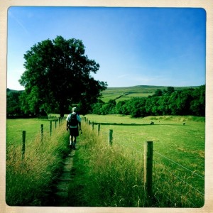 Footpath through fileds