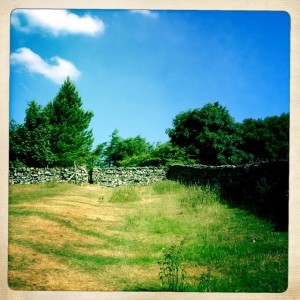 Walking through pastures and then over gates