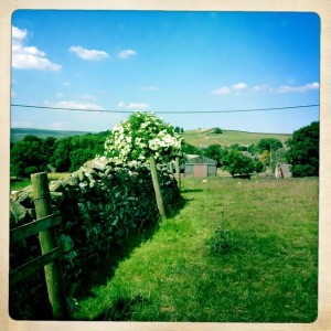 Stone walls and pastures