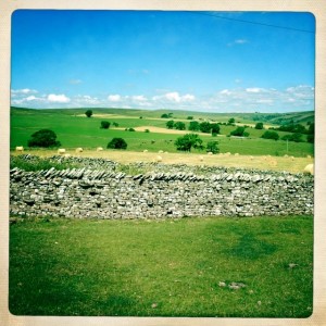 Hay bales