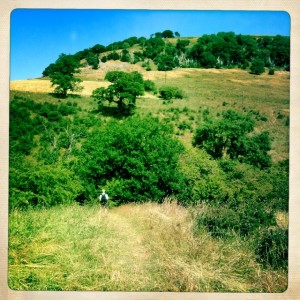 Trail in pasture dips down to a stream  and climbs back up to white cairn on top