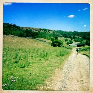 On road by Applegate Farm 