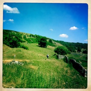 Applegate farmland