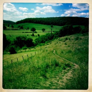 Path on Applegate farmlands