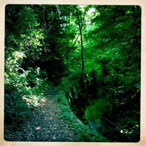 On path above river swale. 