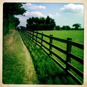 Along fence