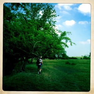 Walking through pasture with bull. Tony kept his eye out. 