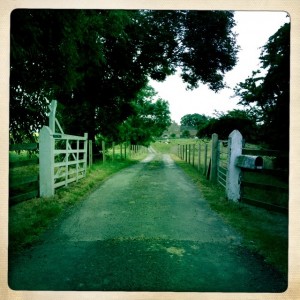 Lazenby Hall Farm 