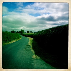 First manicured hedge in farmland we have seen. 