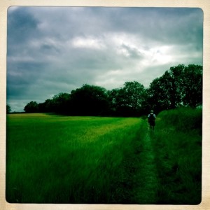 Walking single file through farmers crops 