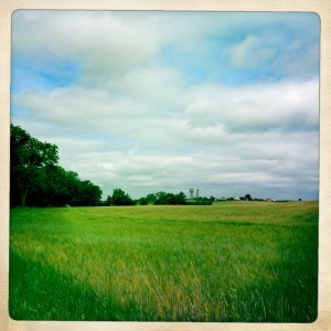 Lots of clouds, but patches of blue skies too. 