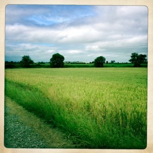 Wray farmland