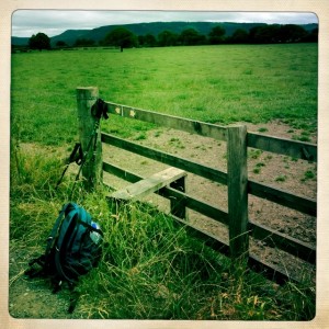 Our lunch spot. We had half a small cheese sandwich between us. Plus a balance bar.