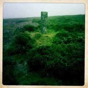 Marker stones along the way 