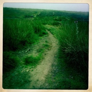 Off on a narrow track that went through some boggy parts. 