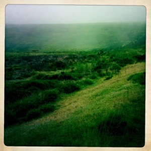 Beautiful greens on the moors