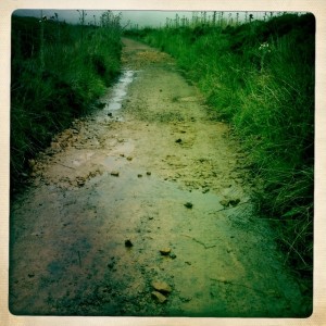 Muddy track