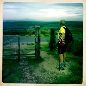 Fence and gate at end of path.